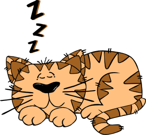 Happy Cat